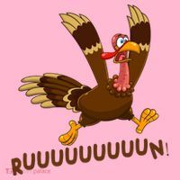 Run Funny Thanksgiving Turkey Coaster thumb 2