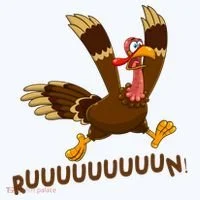 Run Funny Thanksgiving Turkey Women's T-Shirt thumb 6