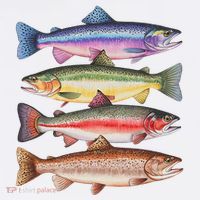 River Fish Trout Salmon Colorful Trout In A Row T-Shirt thumb 7