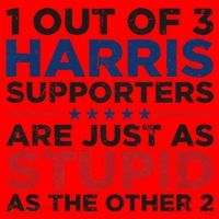 Retro Funny Trump 1 Out Of 3 Kamala Harris Supporters Santa Hat thumb 1