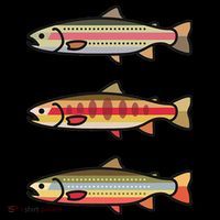 Rainbow Golden Brook Trout Fishing Anglers Coffee Mug thumb 5