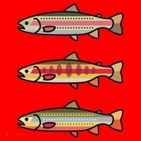 Rainbow Golden Brook Trout Fishing Anglers Santa Hat thumb 1