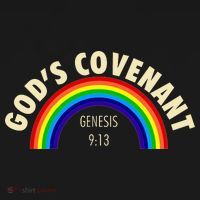 Rainbow Gods Covenant 913 Bible Christian Lover Hoodie thumb 7