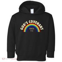 Rainbow Gods Covenant 913 Bible Christian Lover Toddler Hoodie thumb 0