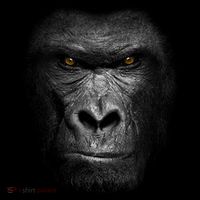 Realistic Gorilla Face Backpack thumb 2