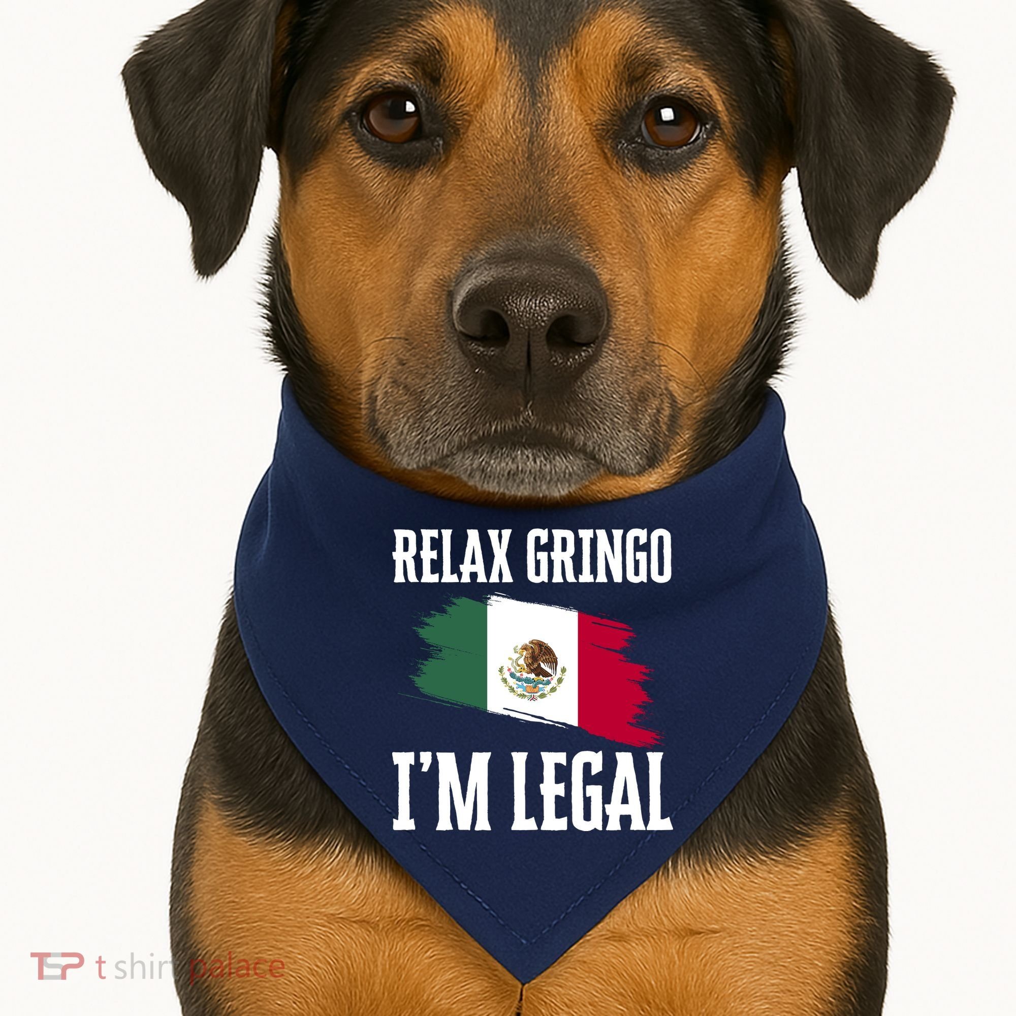 Relax Gringo Im Legal Funny USA-Made Doggie Bandana