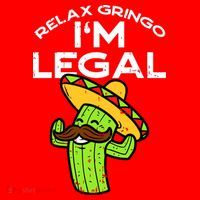 Relax Gringo Im Legal Funny Cinco De Mayo Mexican Immigrant Santa Hat thumb 1
