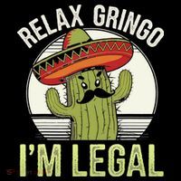 Relax Gringo Im Legal Funny Cinco De Mayo Mexican Immigrant Coffee Mug thumb 5