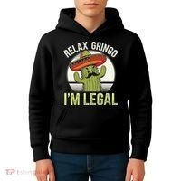 Relax Gringo Im Legal Funny Cinco De Mayo Mexican Immigrant Kids Hoodie thumb 4