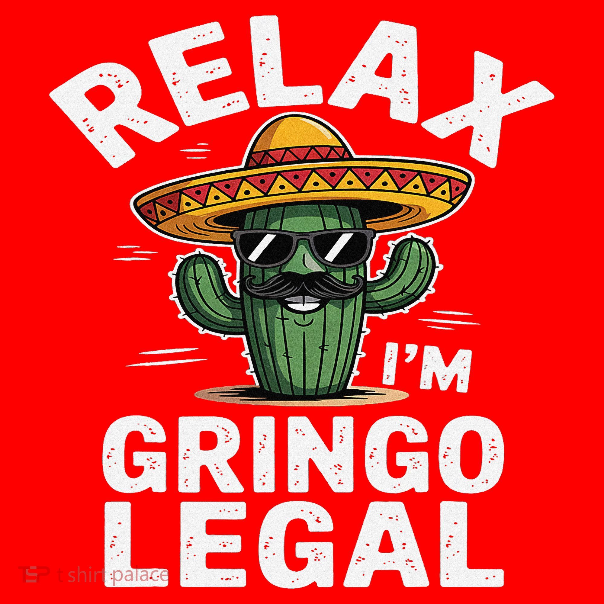 Relax Gringo Im Legal Hilarious Mexican Immigrant Costume Santa Hat