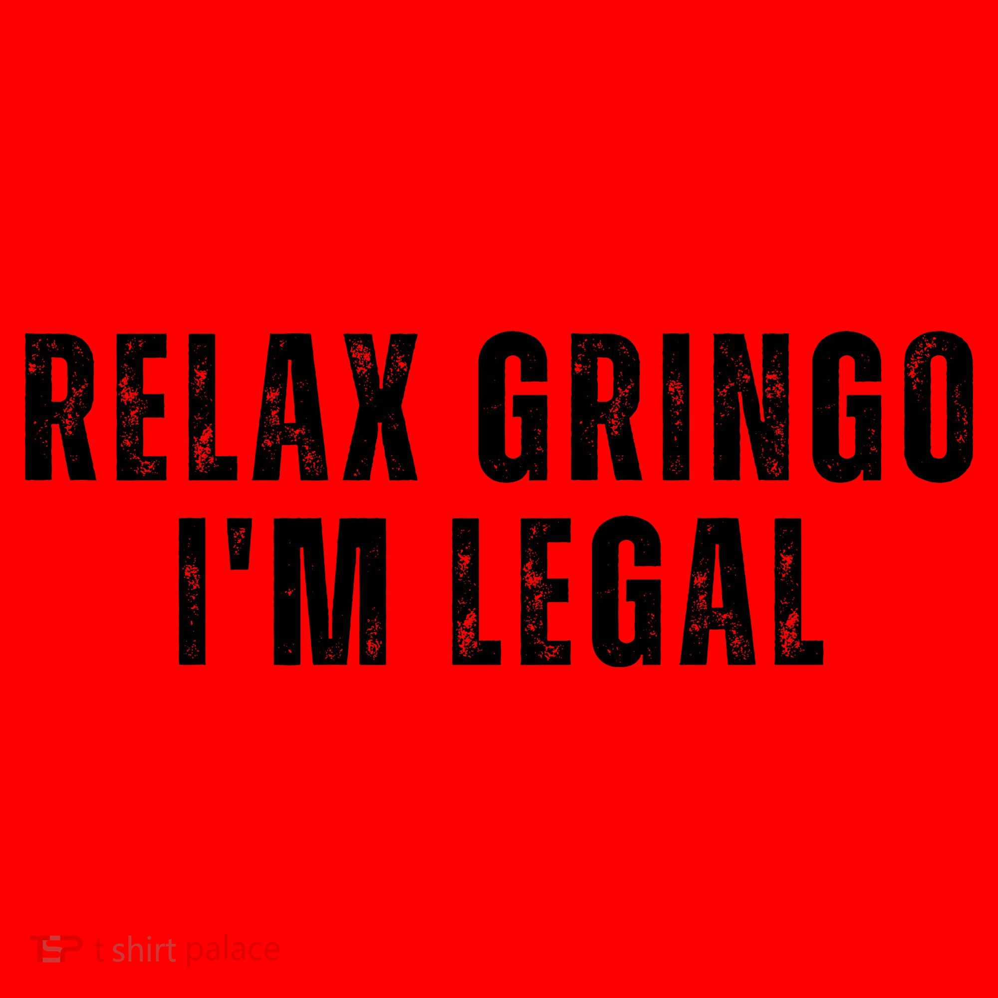 Relax Gringo Im Legal Funny Immigration Santa Hat
