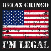 Relax Gringo Im Legal New Citizen Immigration Gift Hoodie thumb 7