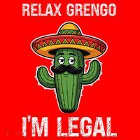 Relax Gringo Im Legal Funny Cinco De Mayo Mexican Immigrant Santa Hat thumb 1