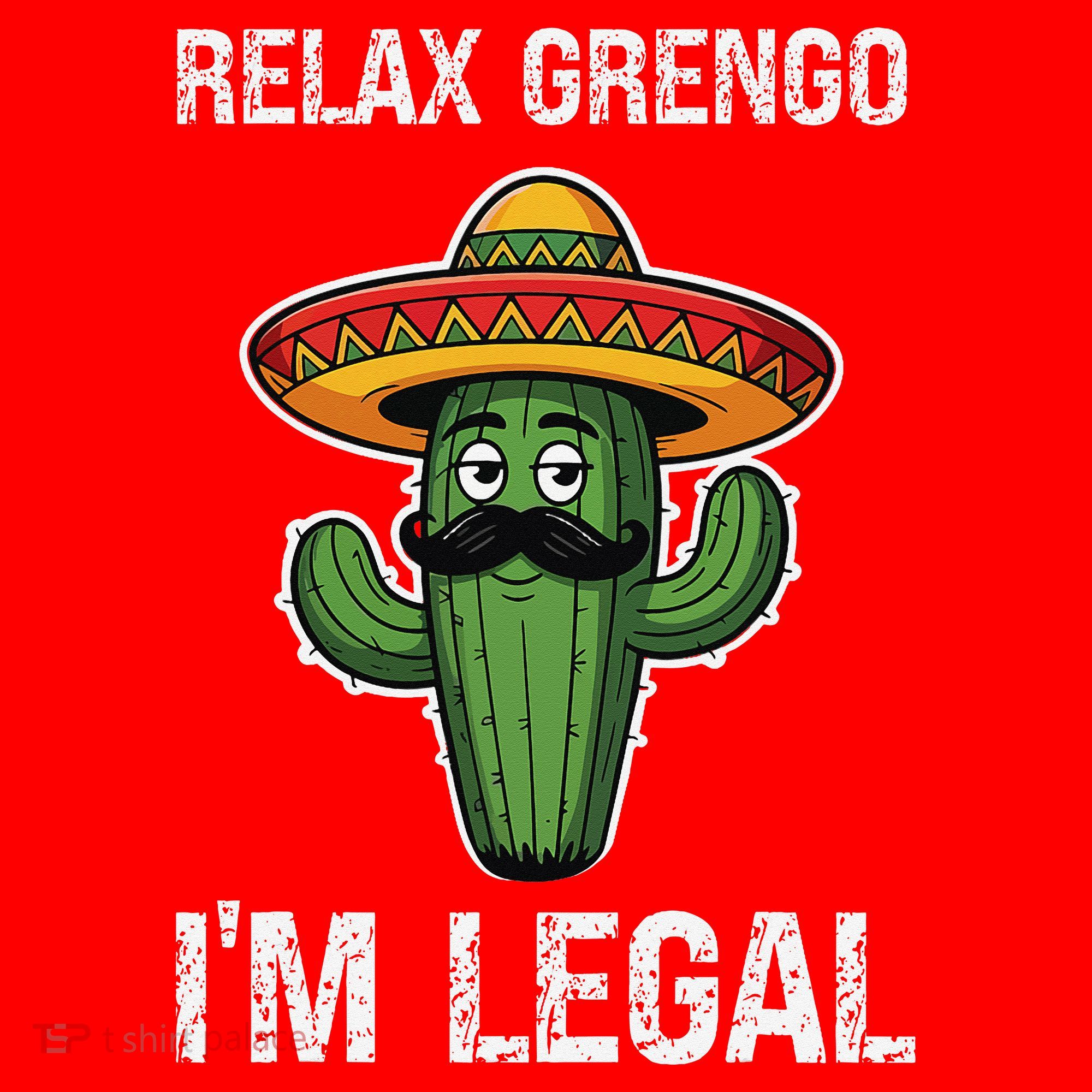 Relax Gringo Im Legal Funny Cinco De Mayo Mexican Immigrant Santa Hat