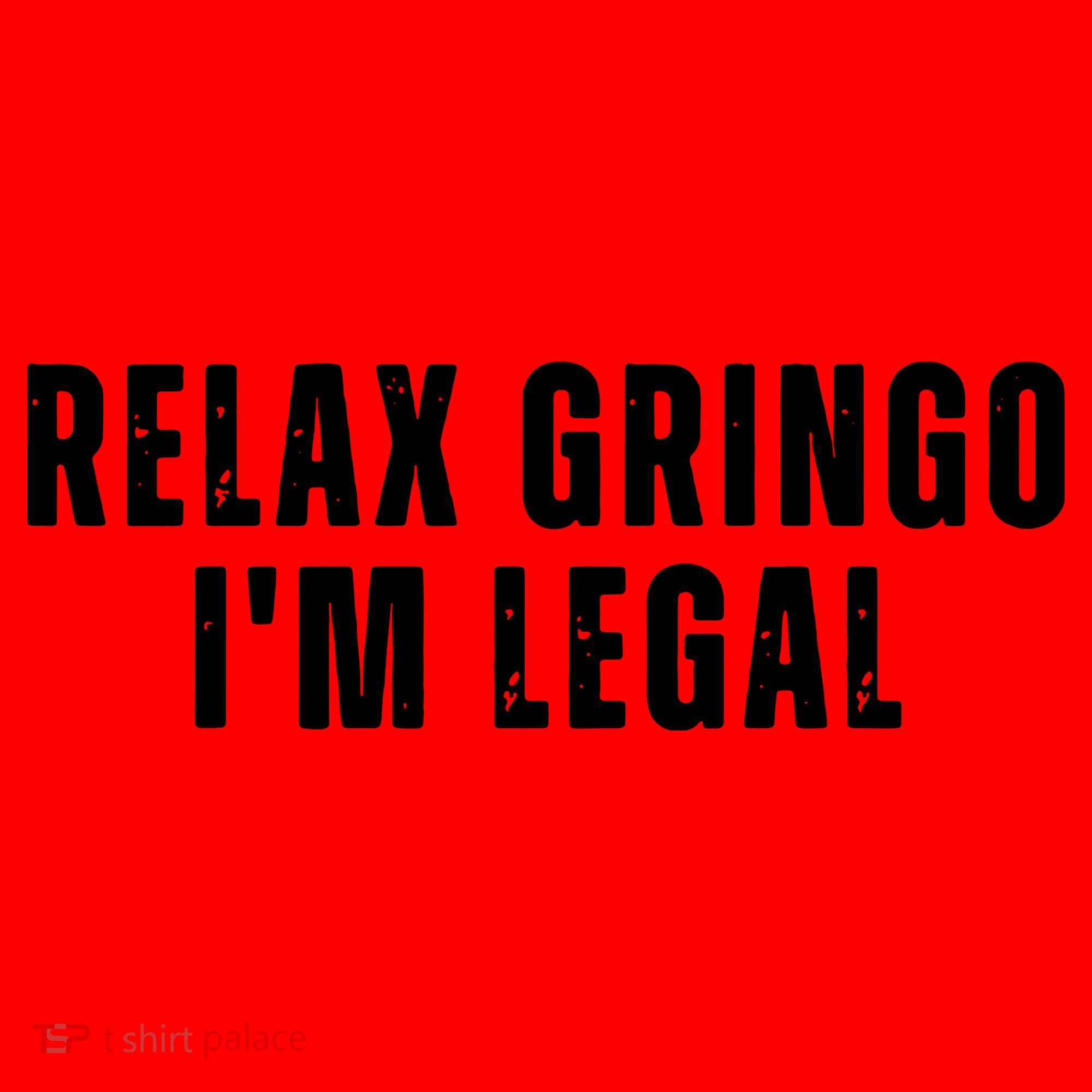 Relax Gringo Im Legal Funny Immigration Santa Hat