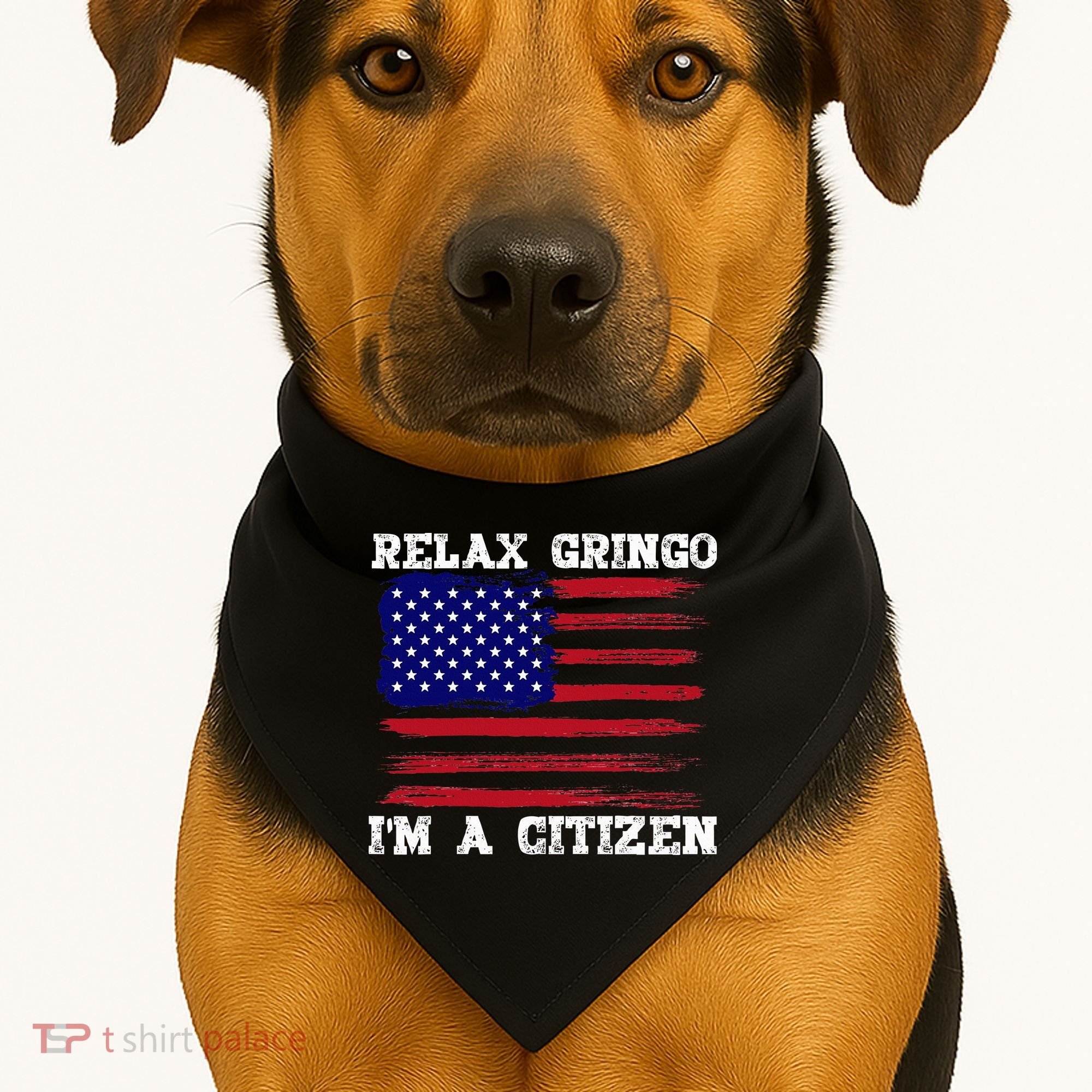 Relax Gringo IM A Usa Citizen Funny USA-Made Doggie Bandana