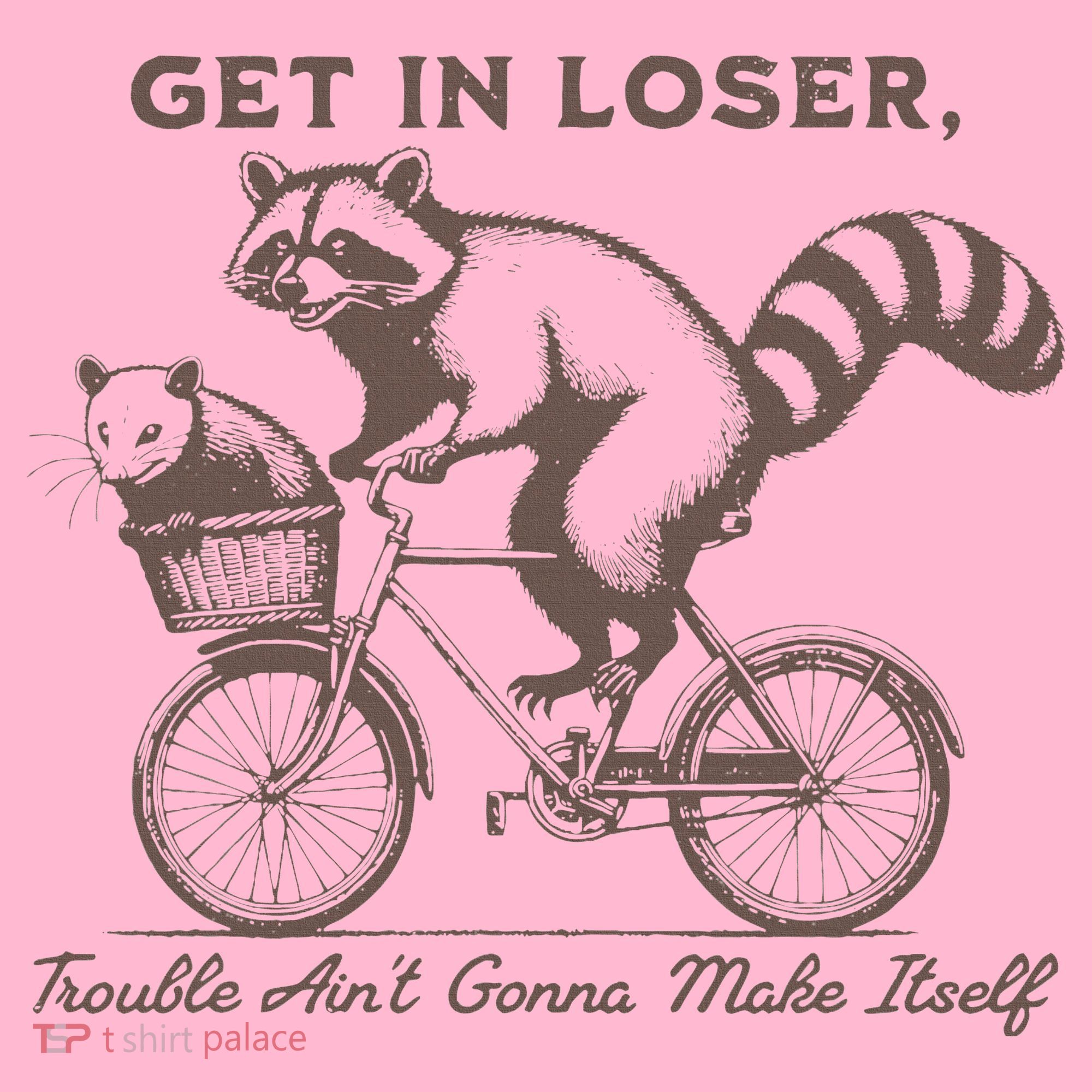 Raccoon Get In Loser Trouble Aint Gonna Make Itself Coaster