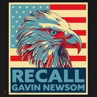 Recall Gavin Newsom 4th of July US American Flag Eagle Long Sleeve Shirt thumb 2