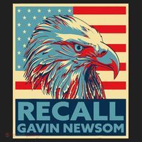 Recall Gavin Newsom 4th of July US American Flag Eagle Beanie thumb 2