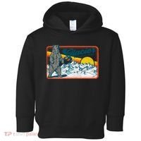 Retro Glacier National Park 80's Bear Graphic 80s Meaningful Gift Toddler Hoodie thumb 0