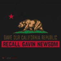 Recall Gavin Newsom Governor Save Our California Republic Toddler Hoodie thumb 2