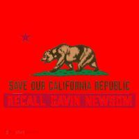 Recall Gavin Newsom Governor Save Our California Republic Santa Hat thumb 1
