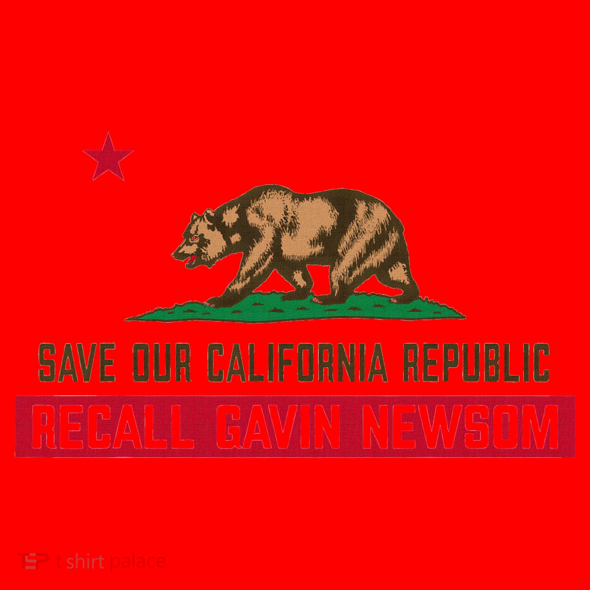 Recall Gavin Newsom Governor Save Our California Republic Santa Hat