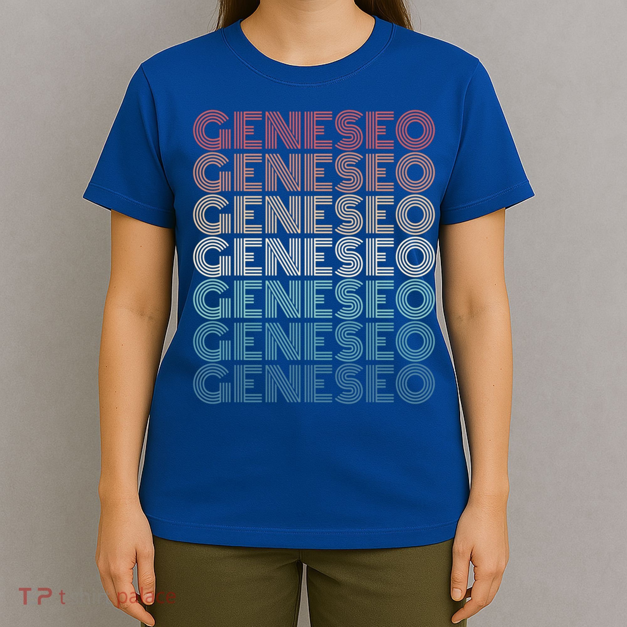 Retro Geneseo New York Gift T-Shirt