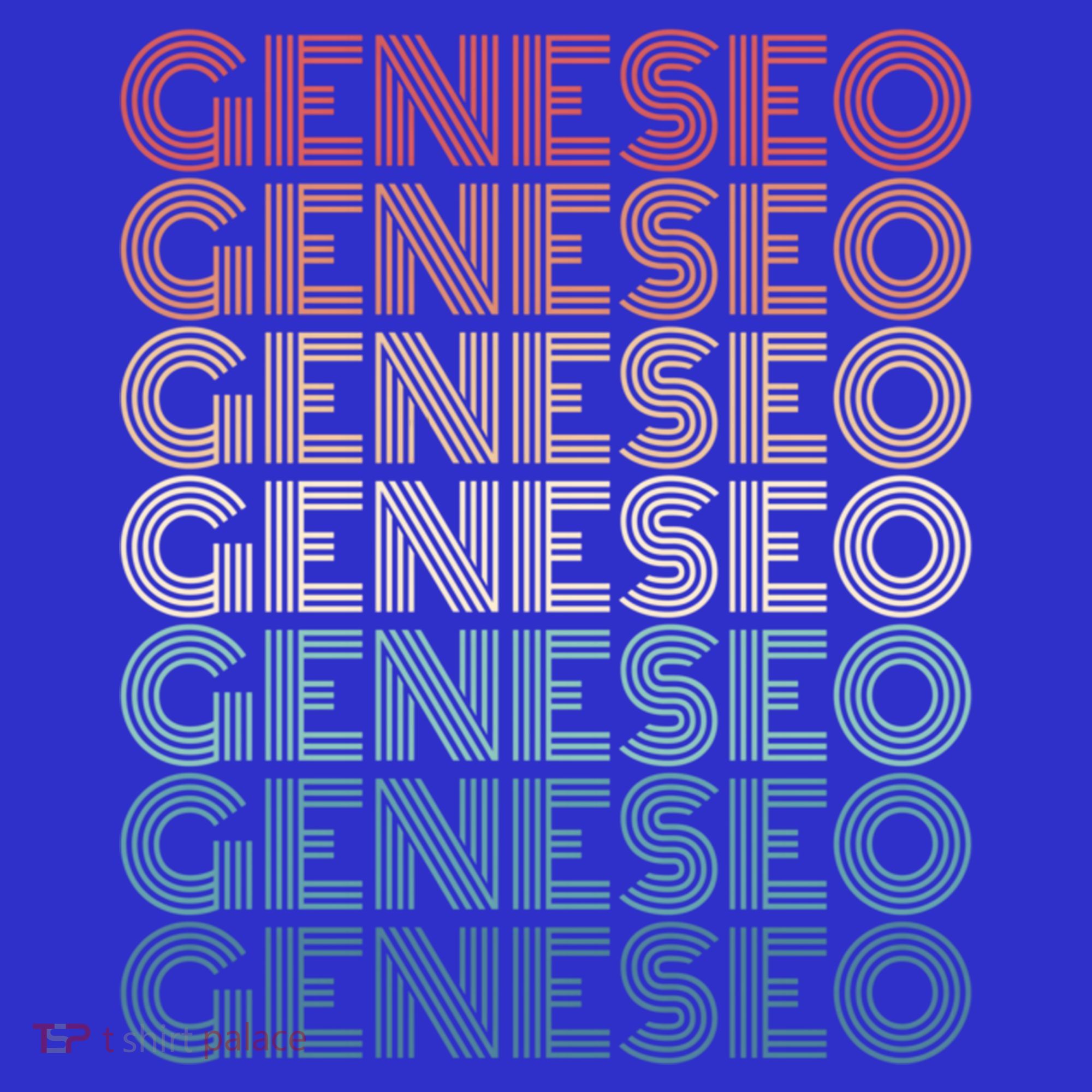 Retro Geneseo New York Gift T-Shirt