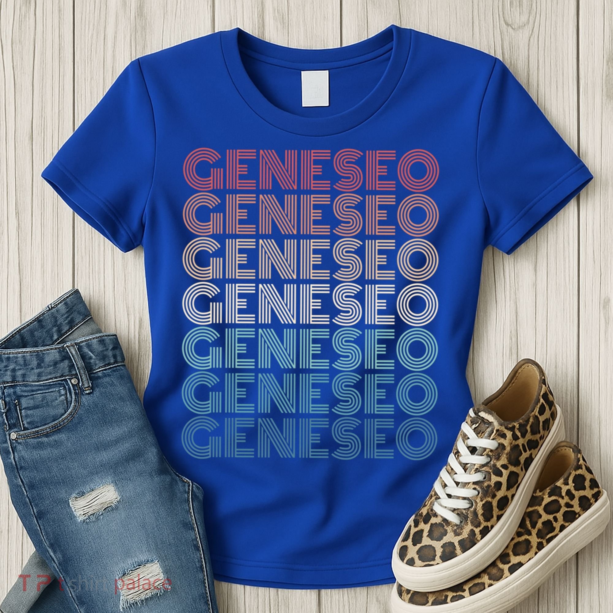 Retro Geneseo New York Gift Women's T-Shirt