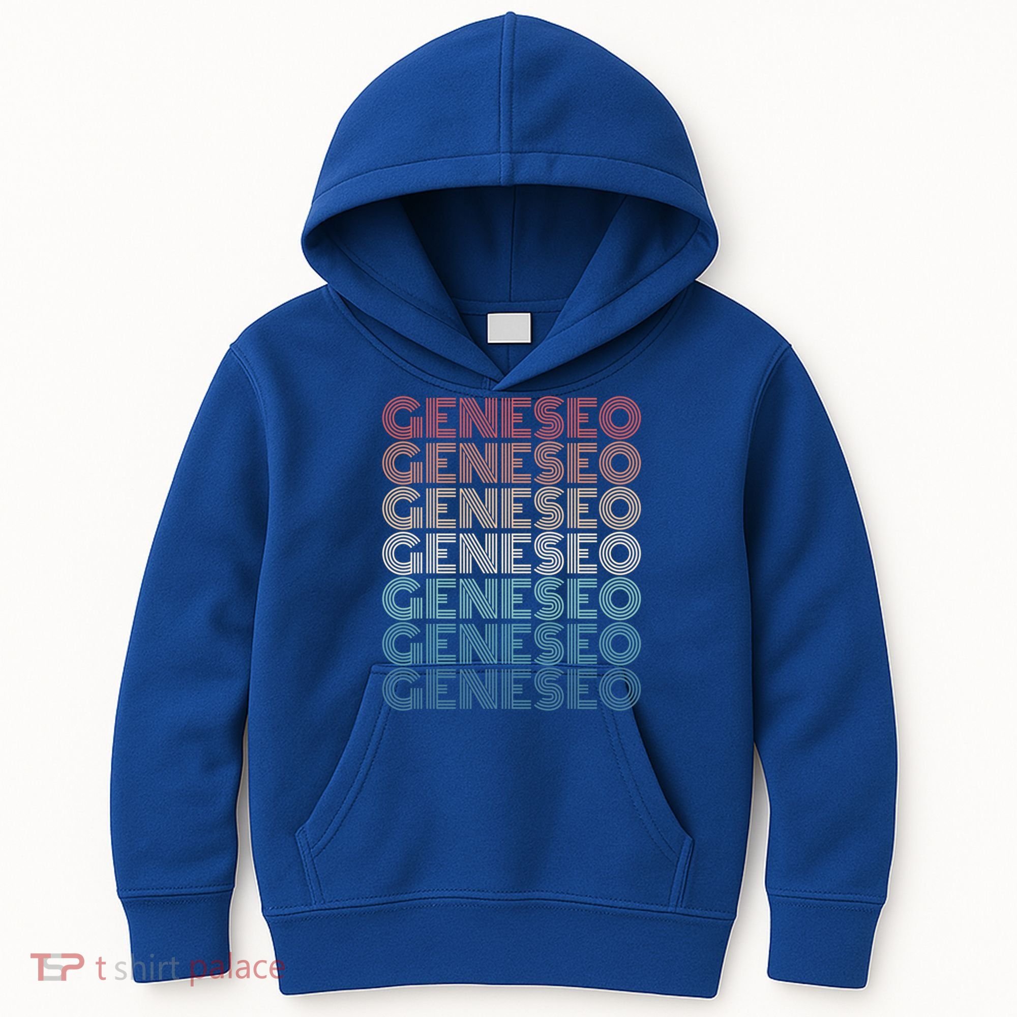 Retro Geneseo New York Gift Kids Hoodie