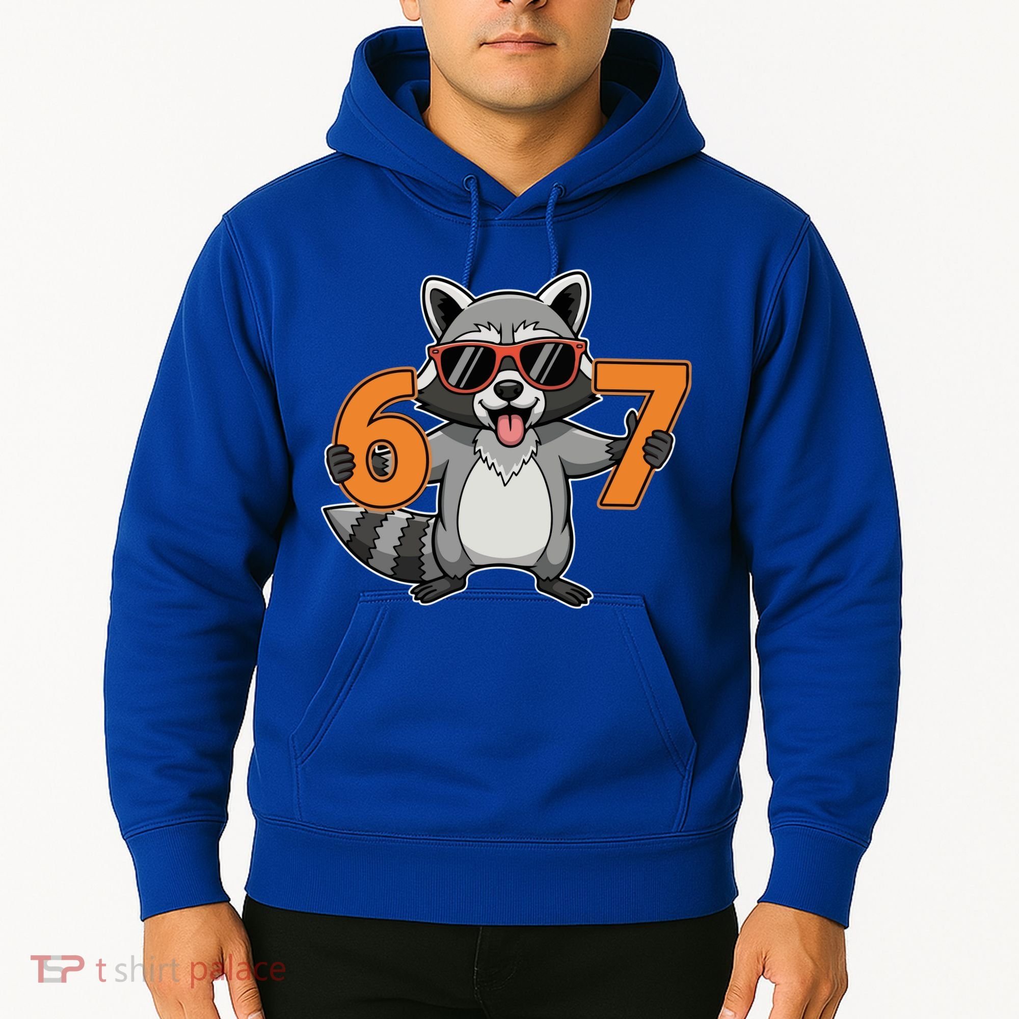 Racoon Hold 67 Meme 6-7 Funny Hoodie