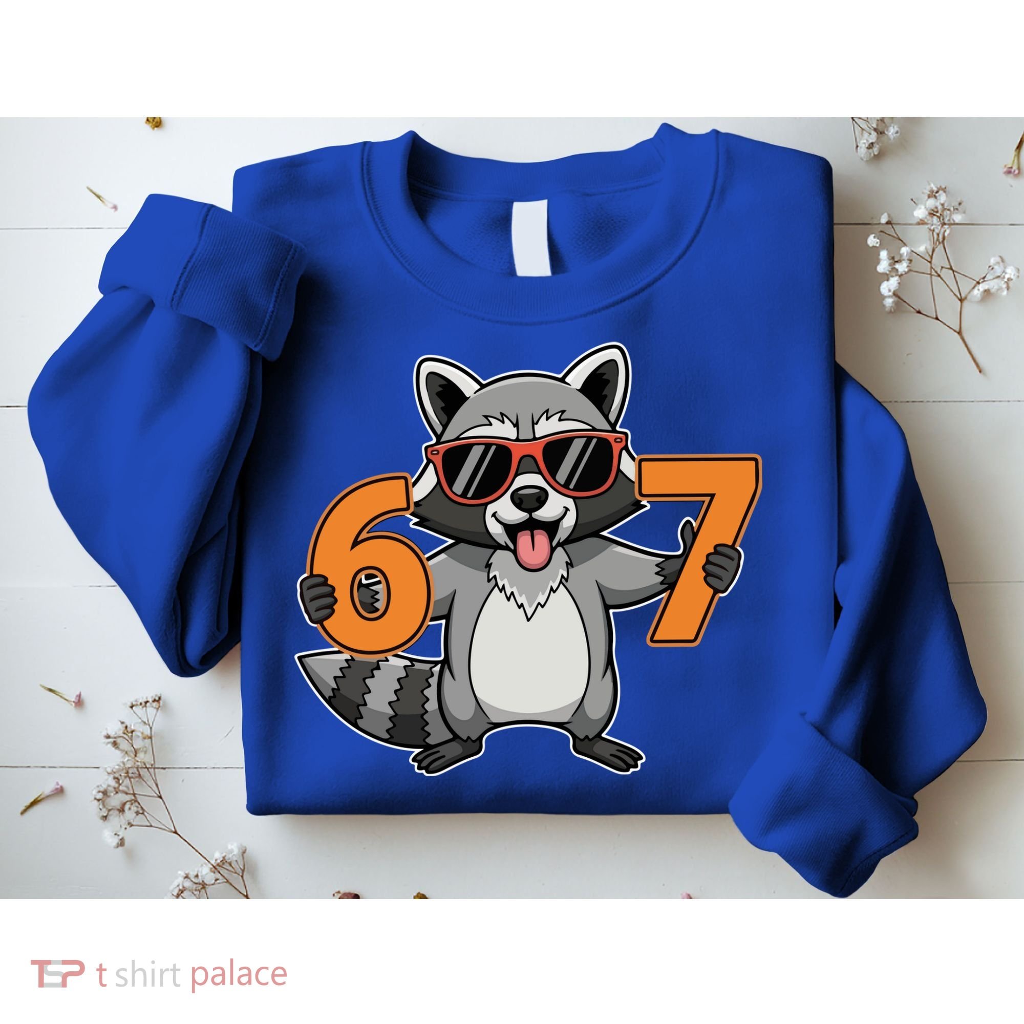 Racoon Hold 67 Meme 6-7 Funny Sweatshirt