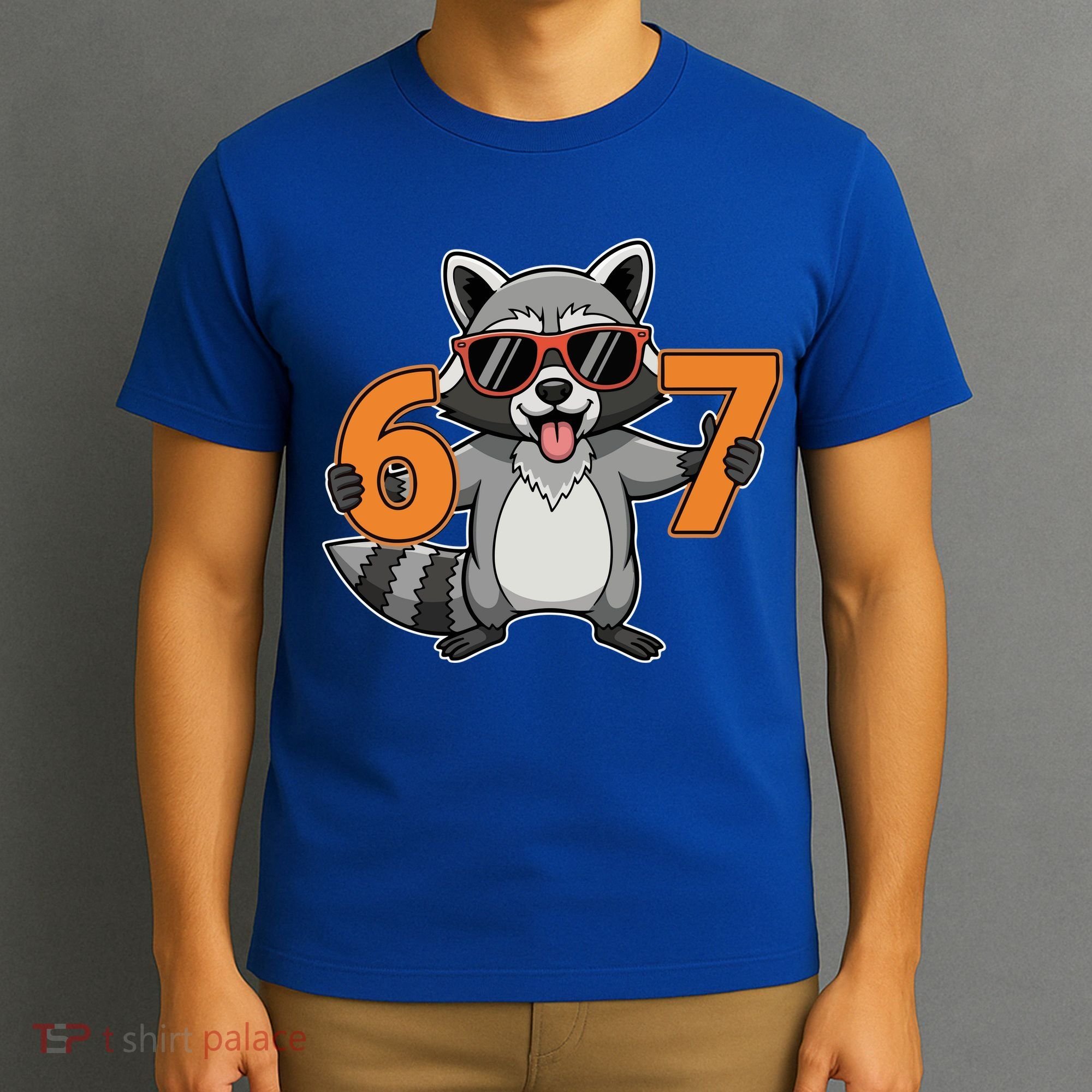 Racoon Hold 67 Meme 6-7 Funny T-Shirt
