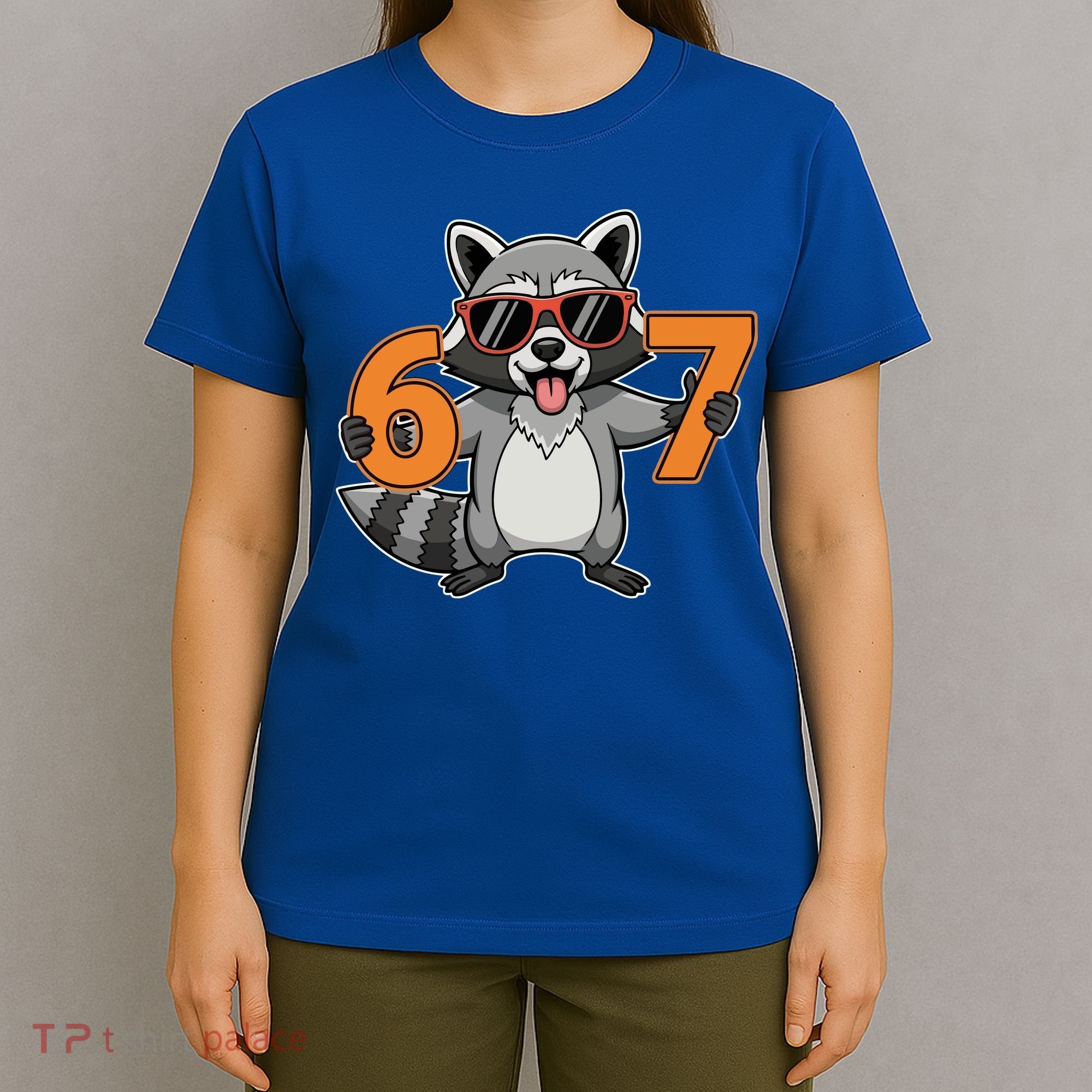 Racoon Hold 67 Meme 6-7 Funny T-Shirt