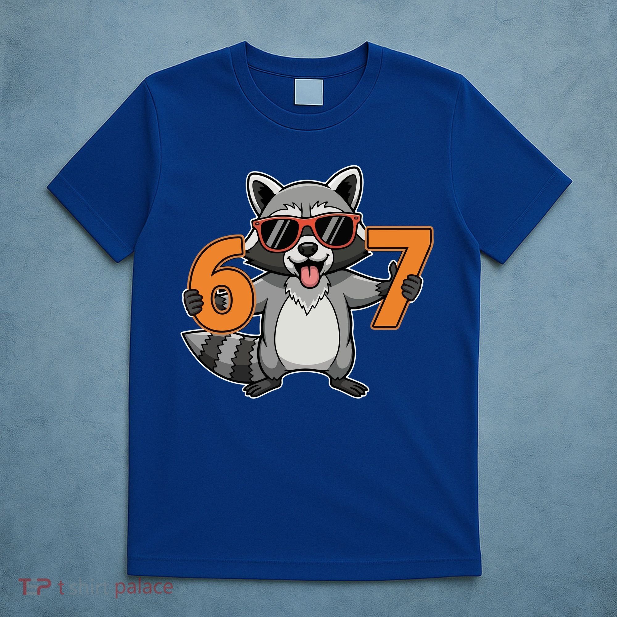 Racoon Hold 67 Meme 6-7 Funny T-Shirt