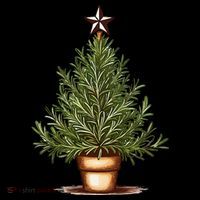 Rosemary Herb Christmas Tree Toddler T-Shirt thumb 4