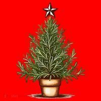 Rosemary Herb Christmas Tree Santa Hat thumb 1