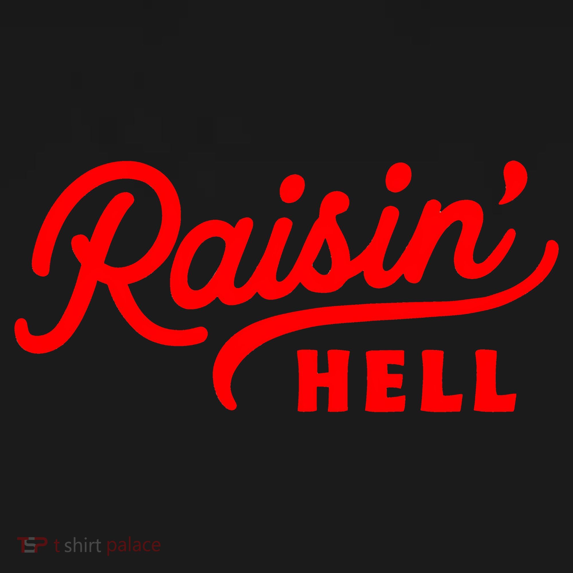 Raisin Hell Funny & Humorous Southern Phrase And Saying Country Hoodie