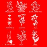 Reproductive Health Herbs Plant Lover Herbalist Santa Hat thumb 1