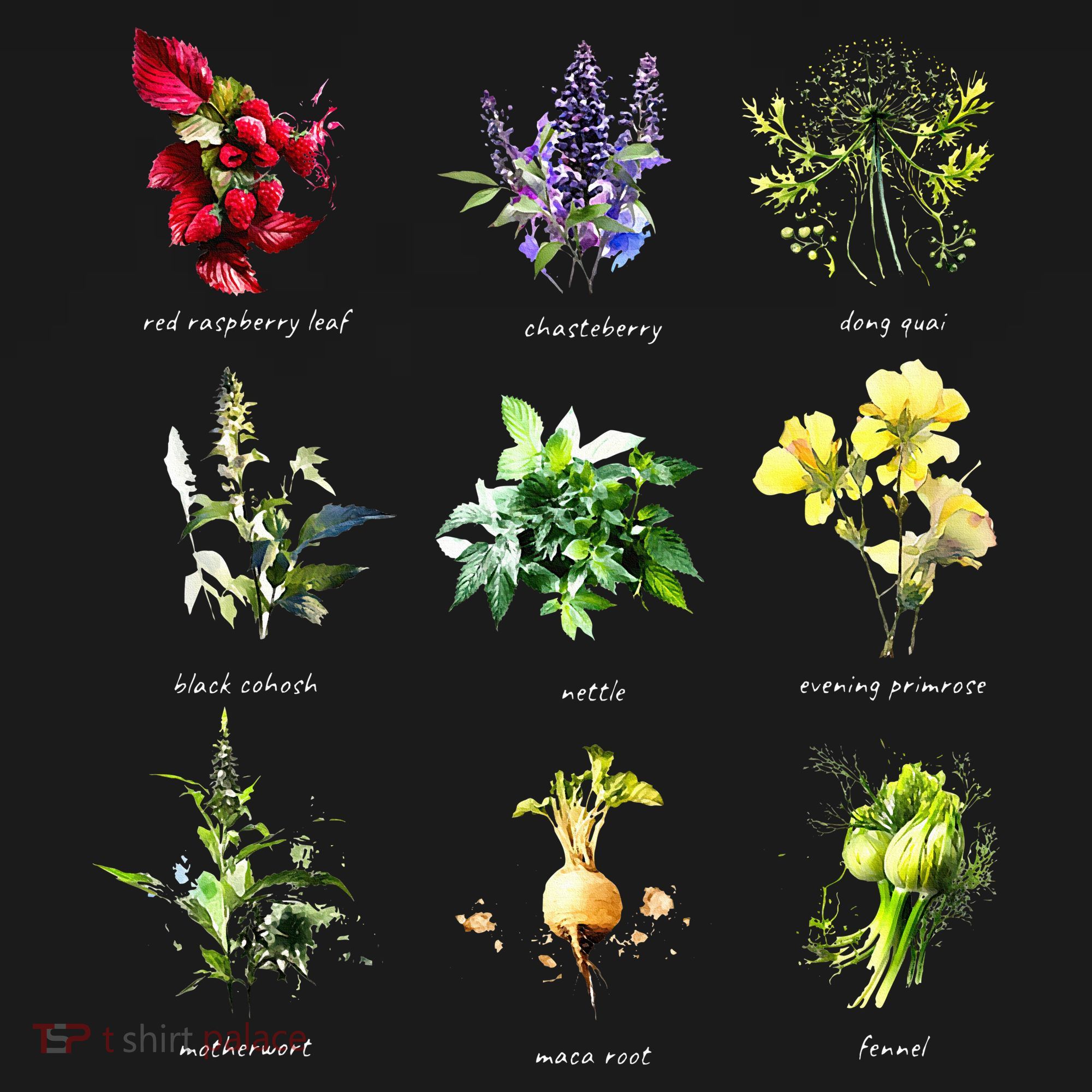 Reproductive Health Herbs Herbalist Plant Lover Women's Hoodie