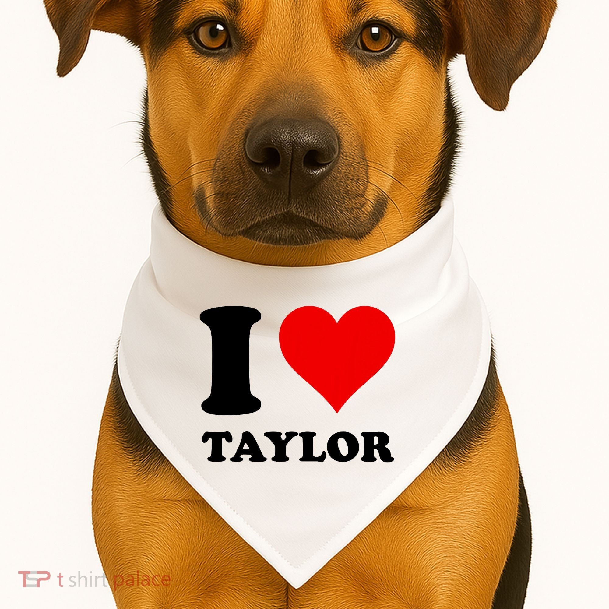 Red Heart I Love Taylor USA-Made Doggie Bandana