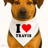 Red Heart I Love Travis USA-Made Doggie Bandana thumb 1