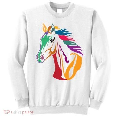 Rainbow Horse Lover Cute Sweatshirt