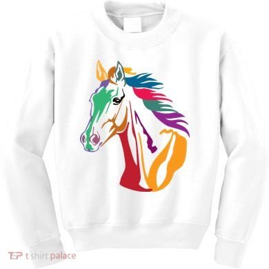 Rainbow Horse Lover Cute Kids Sweatshirt