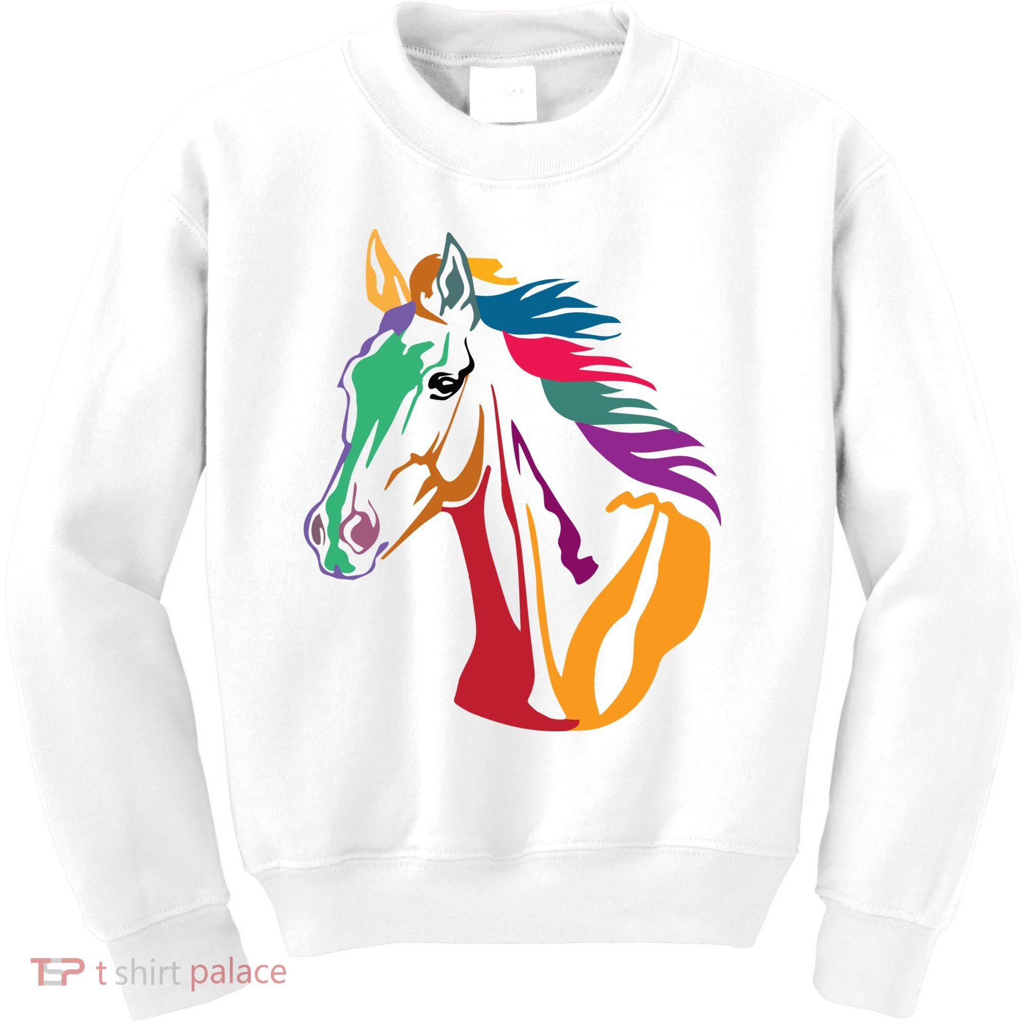 Rainbow Horse Lover Cute Kids Sweatshirt