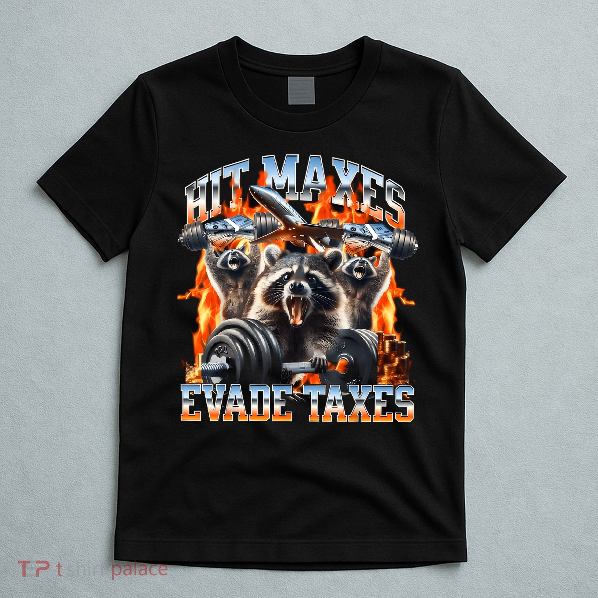 Raccoon Hit Maxes Evade Taxes T-Shirt