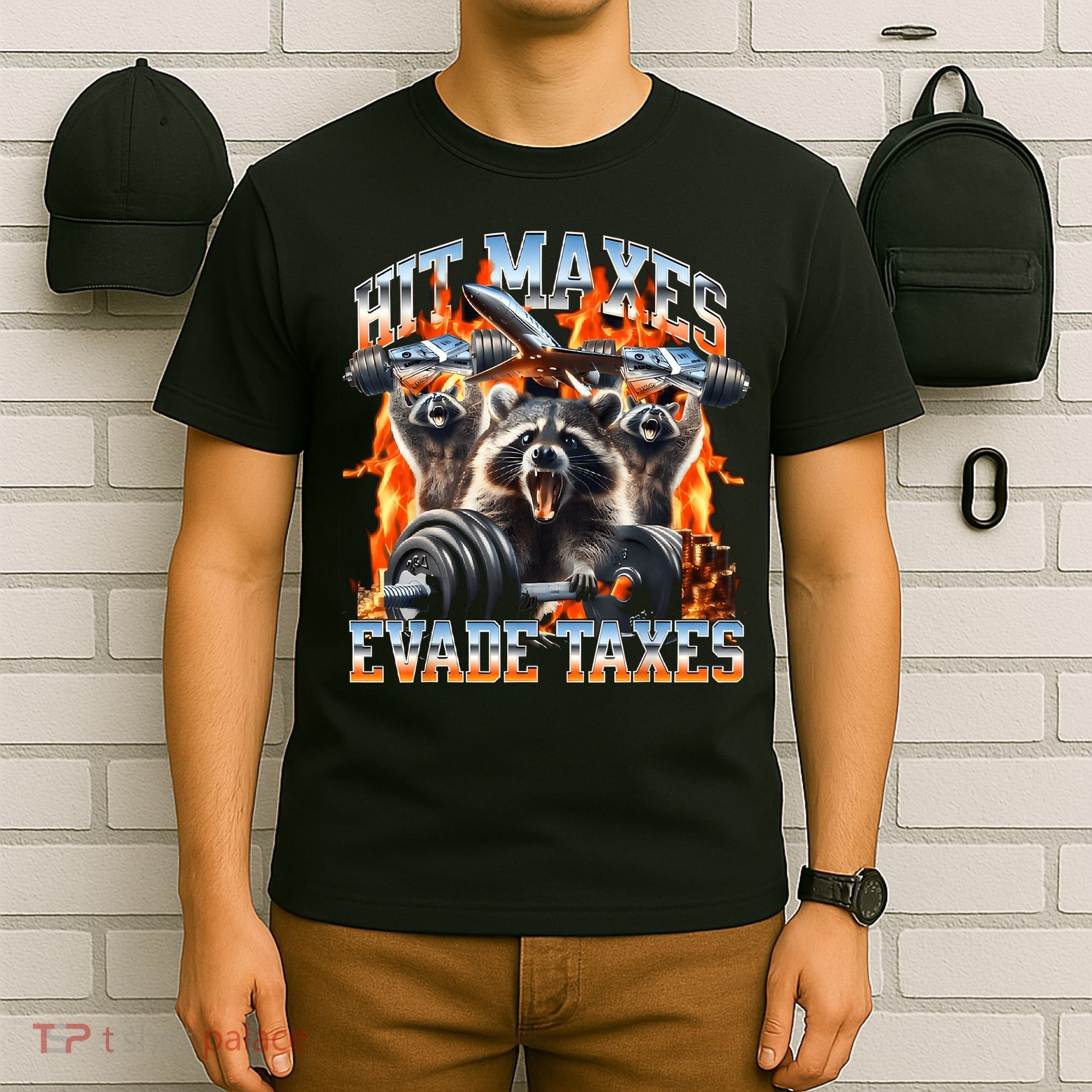 Raccoon Hit Maxes Evade Taxes T-Shirt