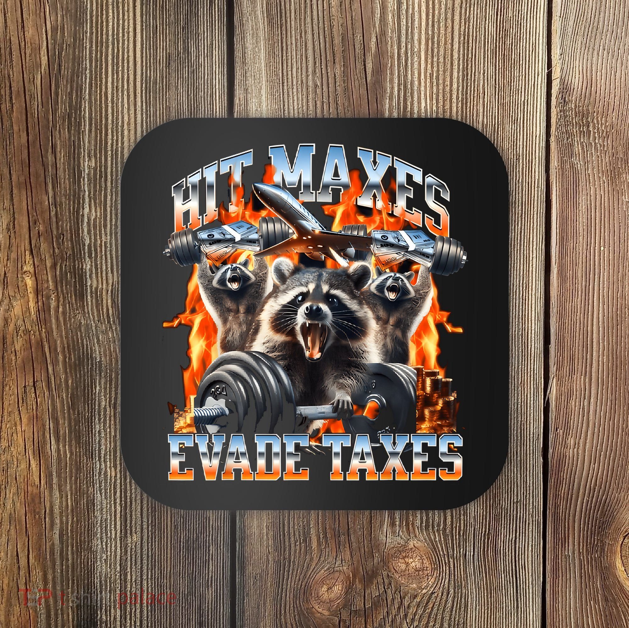 Raccoon Hit Maxes Evade Taxes Coaster