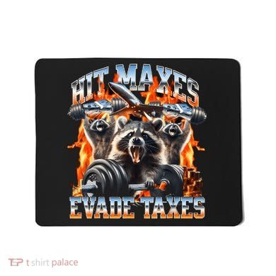 Raccoon Hit Maxes Evade Taxes Mousepad